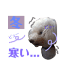 リルボーイ 3（個別スタンプ：30）