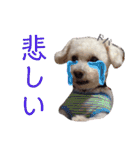 リルボーイ 3（個別スタンプ：31）
