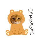 三毛猫茶色白黒2（個別スタンプ：13）