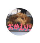 ビビの日常生活（個別スタンプ：2）