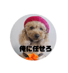 ビビの日常生活（個別スタンプ：3）