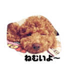 ビビの日常生活（個別スタンプ：9）