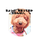 ビビの日常生活（個別スタンプ：13）