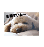 ビビの日常生活（個別スタンプ：15）
