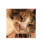 みいこの物語（個別スタンプ：1）