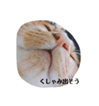 みいこの物語（個別スタンプ：2）