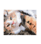 みいこの物語（個別スタンプ：4）