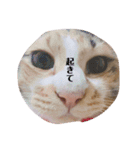 みいこの物語（個別スタンプ：5）
