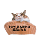 みいこの物語（個別スタンプ：6）