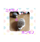 ハリネズミのハルちゃん 1（個別スタンプ：7）