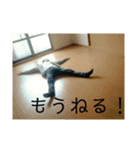 （株）ヒロちゃん 3（個別スタンプ：15）