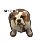 ポーディ（個別スタンプ：7）