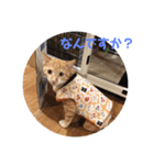 まるぅぅ2（個別スタンプ：4）