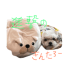 なっちぽっち（個別スタンプ：4）