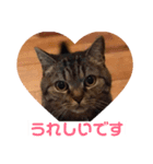 ありがとうにゃ〜（個別スタンプ：2）