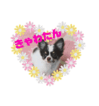 きゃわたんてんちゃん（個別スタンプ：16）
