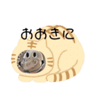 mamikichi 3（個別スタンプ：1）
