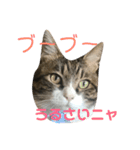 ぷぅの気持ち（個別スタンプ：2）
