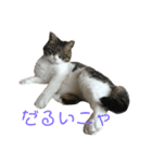 ぷぅの気持ち（個別スタンプ：4）