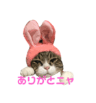 ぷぅの気持ち（個別スタンプ：8）