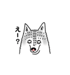 ハスキーずきのためのスタンプ（個別スタンプ：1）