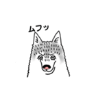 ハスキーずきのためのスタンプ（個別スタンプ：2）