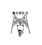 ハスキーずきのためのスタンプ（個別スタンプ：8）