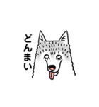 ハスキーずきのためのスタンプ（個別スタンプ：13）