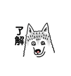 ハスキーずきのためのスタンプ（個別スタンプ：14）