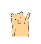 キンクマ生活（個別スタンプ：4）