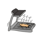 キンクマ生活（個別スタンプ：10）