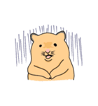 キンクマ生活（個別スタンプ：13）