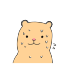 キンクマ生活（個別スタンプ：16）