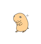 キンクマ生活（個別スタンプ：18）