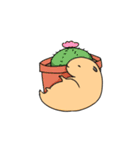 キンクマ生活（個別スタンプ：19）