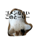 一日一礼（個別スタンプ：3）