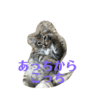 一日一礼（個別スタンプ：7）