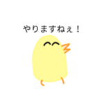 語録ひよこ（個別スタンプ：1）