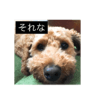 めんごちゃんず（個別スタンプ：6）