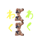 めいころりん2（個別スタンプ：11）