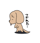 イヌしし模様（個別スタンプ：11）