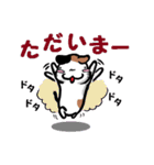 とっても感情豊かな気まま猫（個別スタンプ：5）