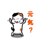 とっても感情豊かな気まま猫（個別スタンプ：9）