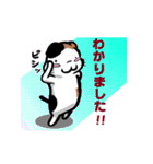 とっても感情豊かな気まま猫（個別スタンプ：14）