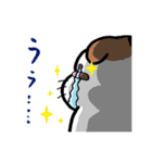 とっても感情豊かな気まま猫（個別スタンプ：24）