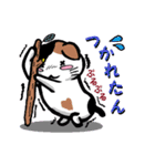 とっても感情豊かな気まま猫（個別スタンプ：38）