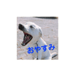 クレアの日常。（個別スタンプ：3）