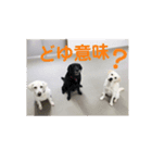 クレアの日常。（個別スタンプ：8）
