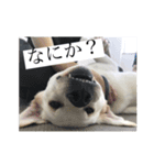 クレアの日常。（個別スタンプ：9）