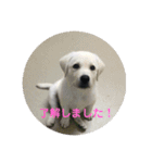 クレアの日常。（個別スタンプ：11）